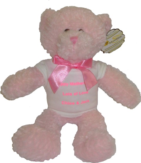 Personalised Pink, Blue or BrownTeddy Bear Wearing T-Shirt Personalised Pink, Blue or BrownTeddy Bear Wearing T-Shirt